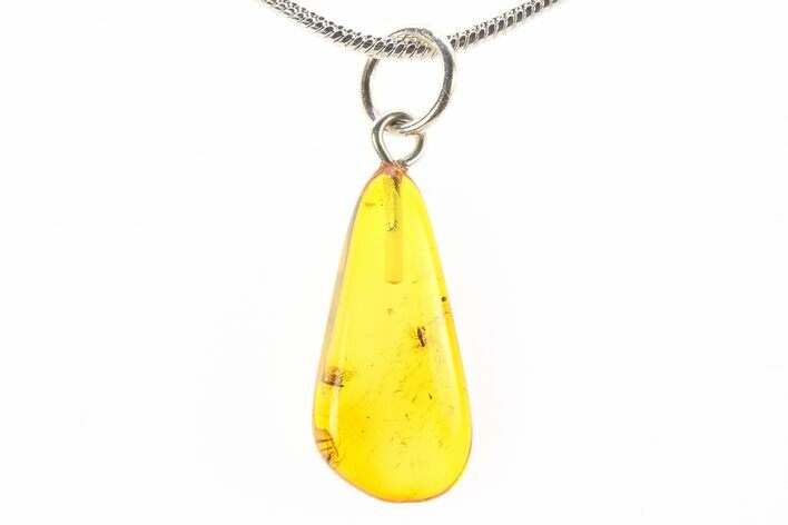 Polished Baltic Amber Pendant (Necklace) - Contains Three Flies! #288889